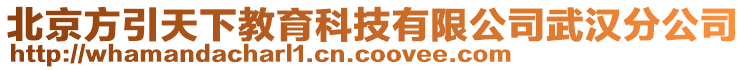 北京方引天下教育科技有限公司武漢分公司