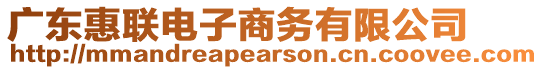 廣東惠聯(lián)電子商務(wù)有限公司