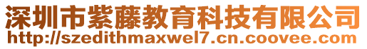 深圳市紫藤教育科技有限公司