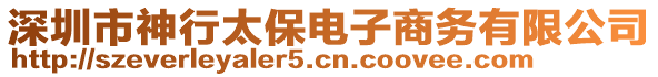 深圳市神行太保電子商務有限公司