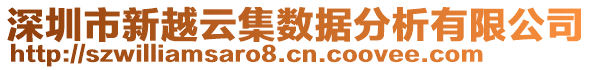 深圳市新越云集數(shù)據(jù)分析有限公司