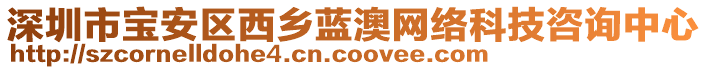 深圳市寶安區(qū)西鄉(xiāng)藍(lán)澳網(wǎng)絡(luò)科技咨詢中心