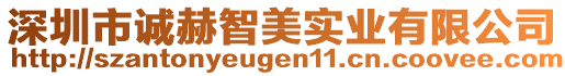 深圳市誠赫智美實業(yè)有限公司