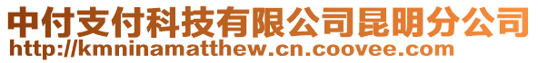 中付支付科技有限公司昆明分公司