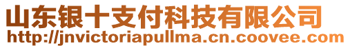 山東銀十支付科技有限公司