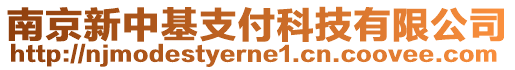 南京新中基支付科技有限公司