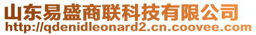 山東易盛商聯(lián)科技有限公司