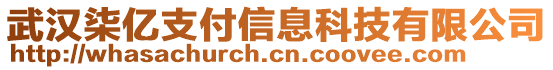 武汉柒亿支付信息科技有限公司