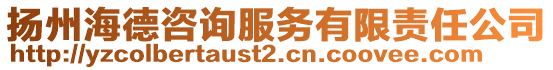 揚(yáng)州海德咨詢服務(wù)有限責(zé)任公司