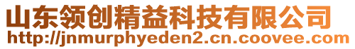 山東領(lǐng)創(chuàng)精益科技有限公司