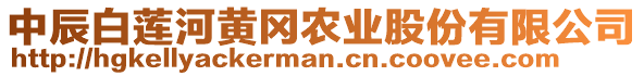 中辰白蓮河黃岡農(nóng)業(yè)股份有限公司