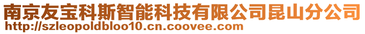 南京友寶科斯智能科技有限公司昆山分公司