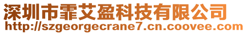 深圳市霏艾盈科技有限公司