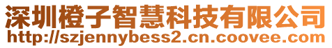 深圳橙子智慧科技有限公司