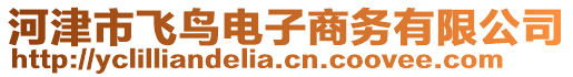 河津市飛鳥電子商務(wù)有限公司