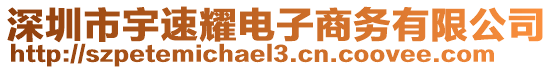 深圳市宇速耀電子商務有限公司