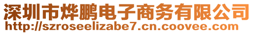 深圳市燁鵬電子商務(wù)有限公司