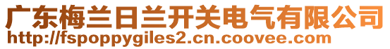 廣東梅蘭日蘭開關(guān)電氣有限公司