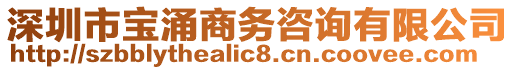 深圳市寶涌商務(wù)咨詢有限公司