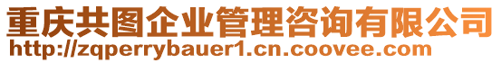 重慶共圖企業(yè)管理咨詢有限公司