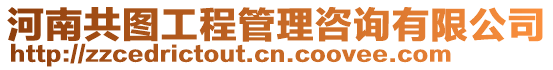 河南共圖工程管理咨詢有限公司