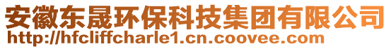 安徽東晟環(huán)?？萍技瘓F有限公司