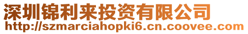 深圳錦利來投資有限公司