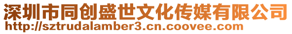 深圳市同創(chuàng)盛世文化傳媒有限公司