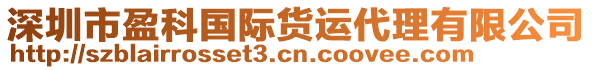 深圳市盈科國(guó)際貨運(yùn)代理有限公司