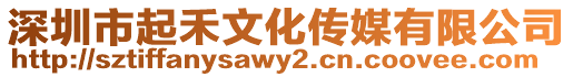 深圳市起禾文化傳媒有限公司