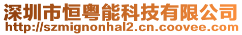 深圳市恒粵能科技有限公司