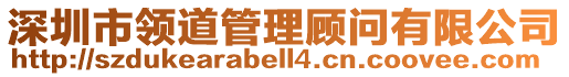 深圳市領(lǐng)道管理顧問(wèn)有限公司