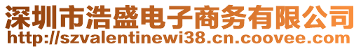 深圳市浩盛電子商務(wù)有限公司