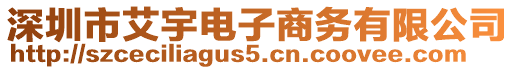 深圳市艾宇電子商務有限公司