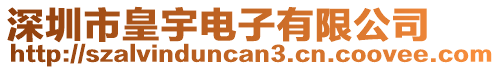 深圳市皇宇電子有限公司