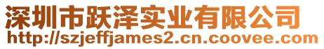 深圳市躍澤實業(yè)有限公司