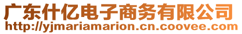 廣東什億電子商務(wù)有限公司