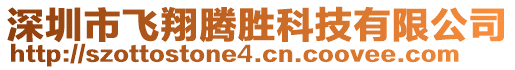 深圳市飛翔騰勝科技有限公司