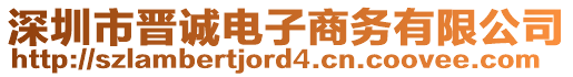 深圳市晉誠電子商務有限公司