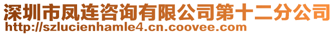 深圳市鳳連咨詢有限公司第十二分公司