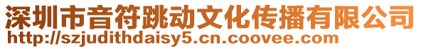 深圳市音符跳动文化传播有限公司