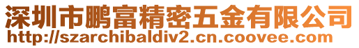 深圳市鵬富精密五金有限公司