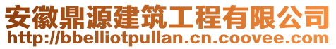 安徽鼎源建筑工程有限公司