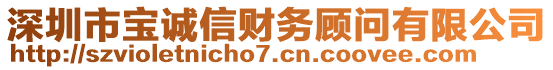 深圳市寶誠(chéng)信財(cái)務(wù)顧問(wèn)有限公司