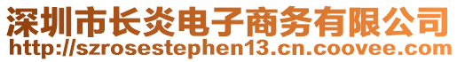 深圳市長炎電子商務有限公司