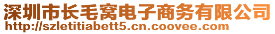 深圳市長(zhǎng)毛窩電子商務(wù)有限公司
