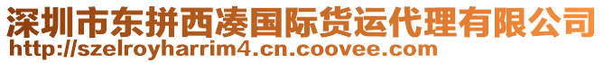 深圳市東拼西湊國(guó)際貨運(yùn)代理有限公司