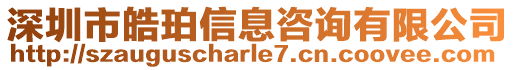 深圳市皓珀信息咨詢有限公司