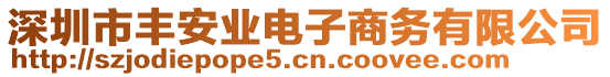 深圳市豐安業(yè)電子商務(wù)有限公司