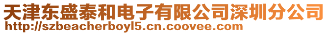 天津東盛泰和電子有限公司深圳分公司